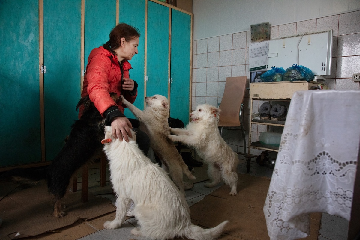 ДОН24📷
ДОН24📷
