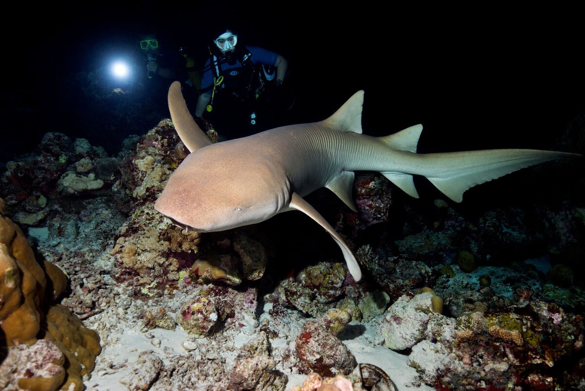     / Источник: © Andrey Nekrasov/imageBROKER.com/Global Look Press