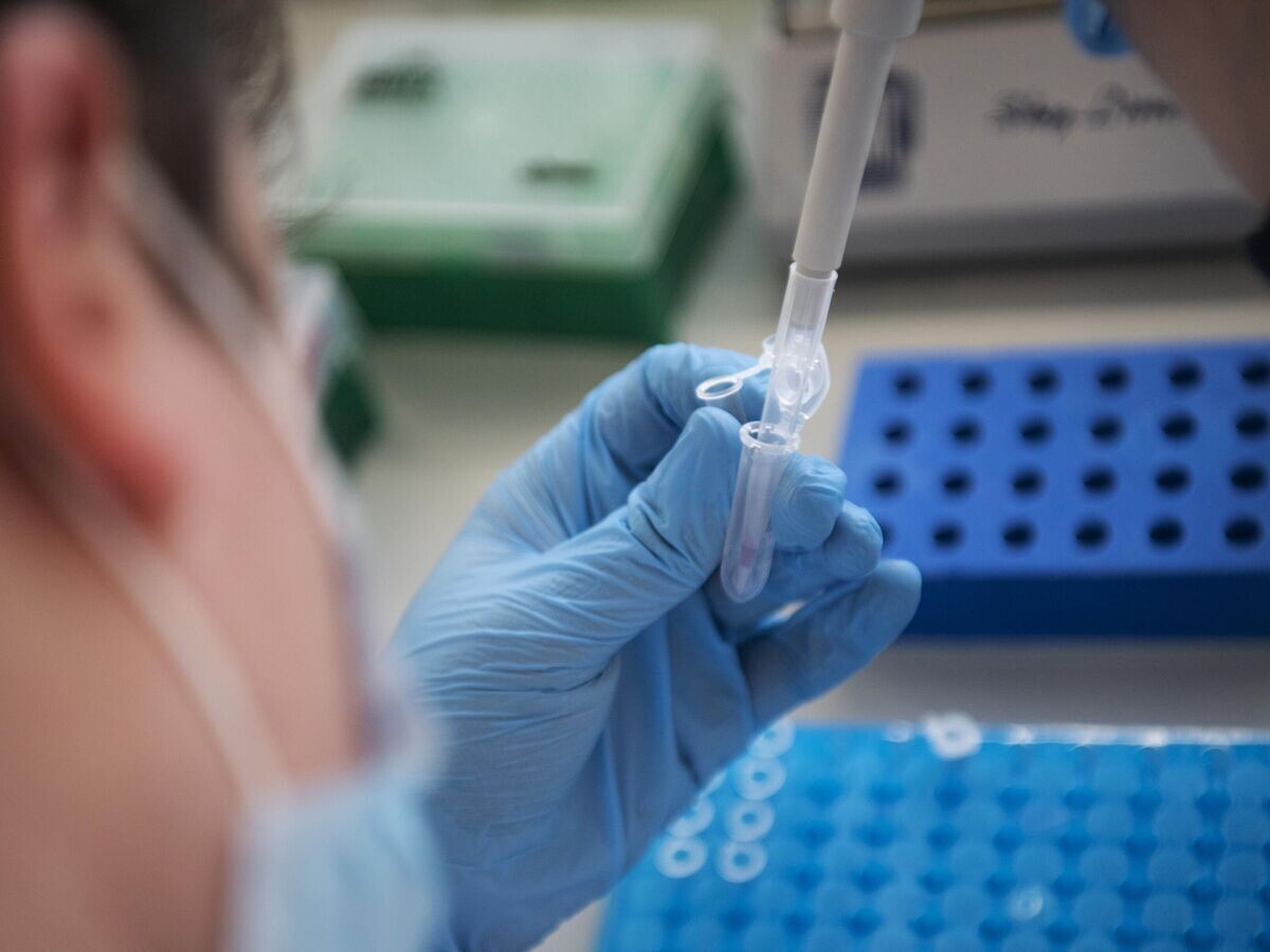    Сотрудник в лаборатории© РИА Новости / Евгений Биятов