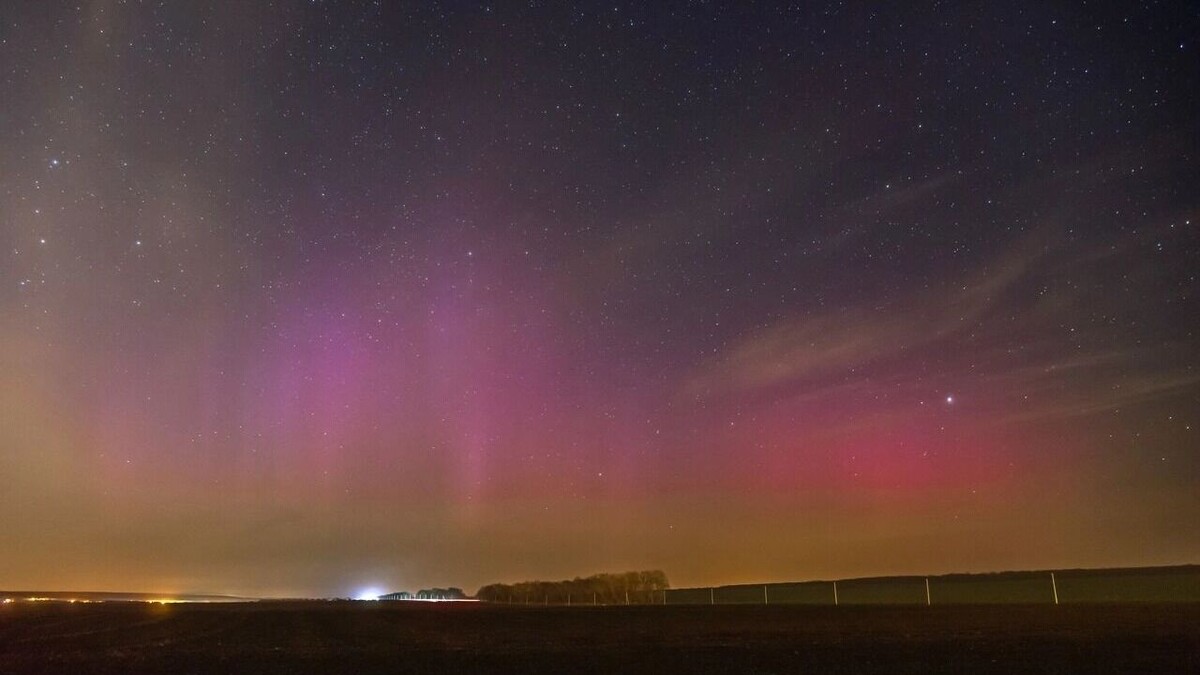     Автор: Александр Литвишко Источник: vk.com/alexandr__litvishko