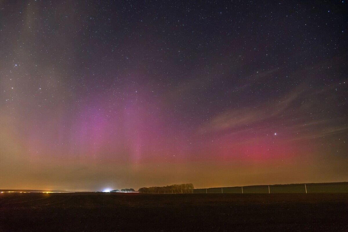     Автор: Александр Литвишко Источник: vk.com/alexandr__litvishko