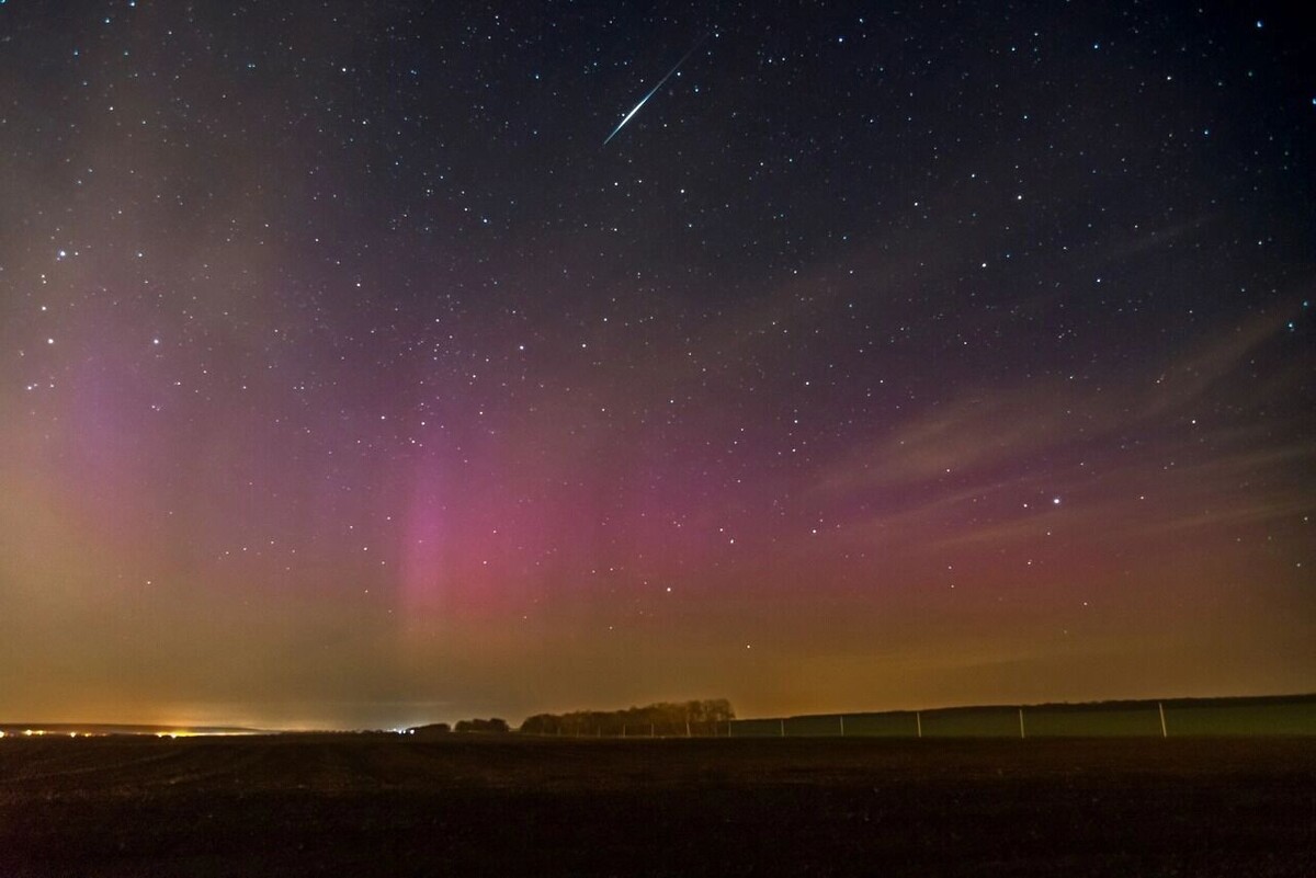     Автор: Александр Литвишко Источник: vk.com/alexandr__litvishko