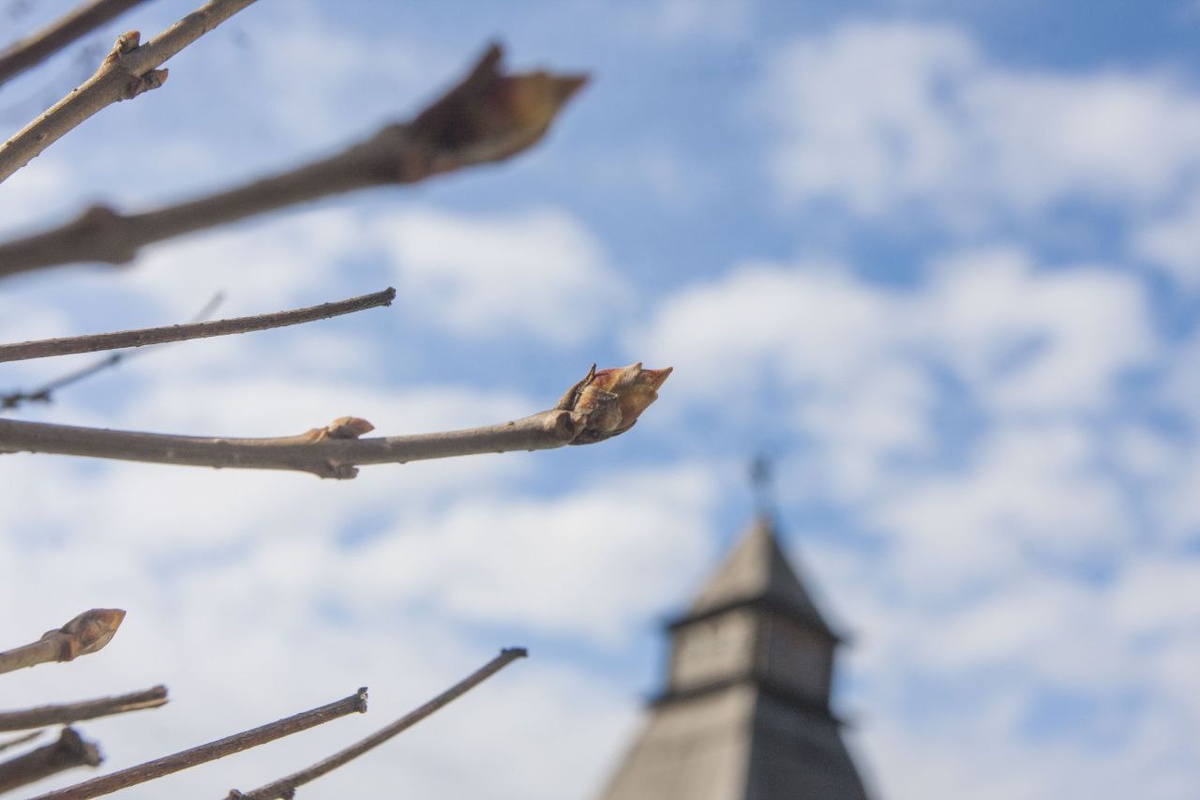 для атмосферы 