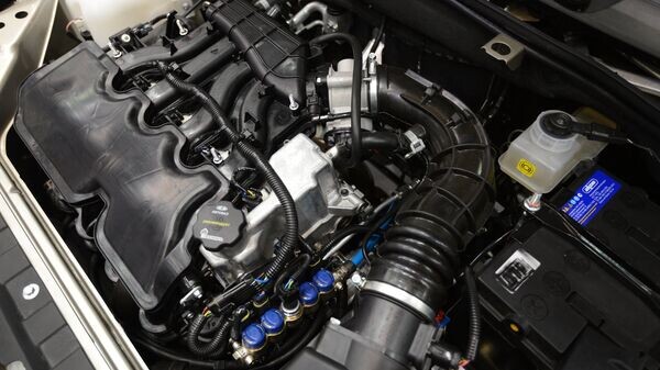    © Sputnik / Александр Кряжев