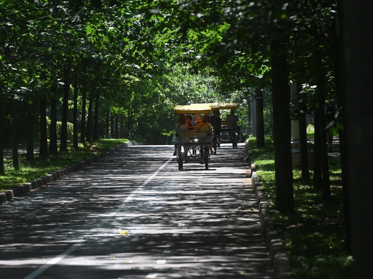    Парк "Сокольники" в Москве© РИА Новости / Михаил Воскресенский