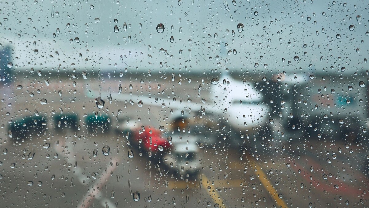    Фото: Jaromir Chalabala/Shutterstock/Fotodom