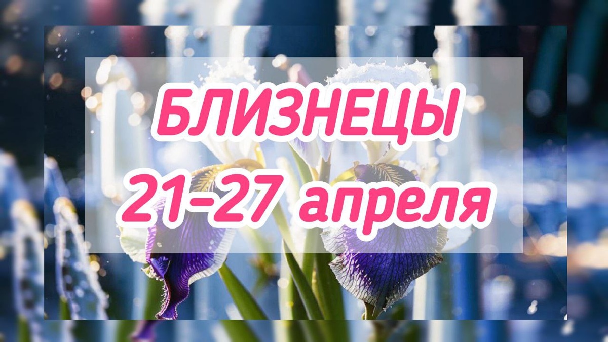 фото принадлежит автору канала