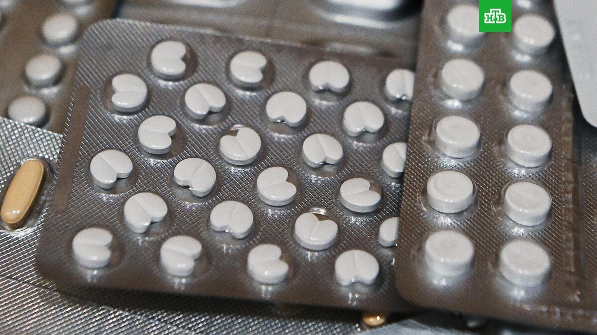    Фото: РИА Новости © 2025, Владимир Федоренко