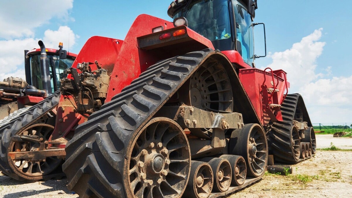     Источник: freepik.com