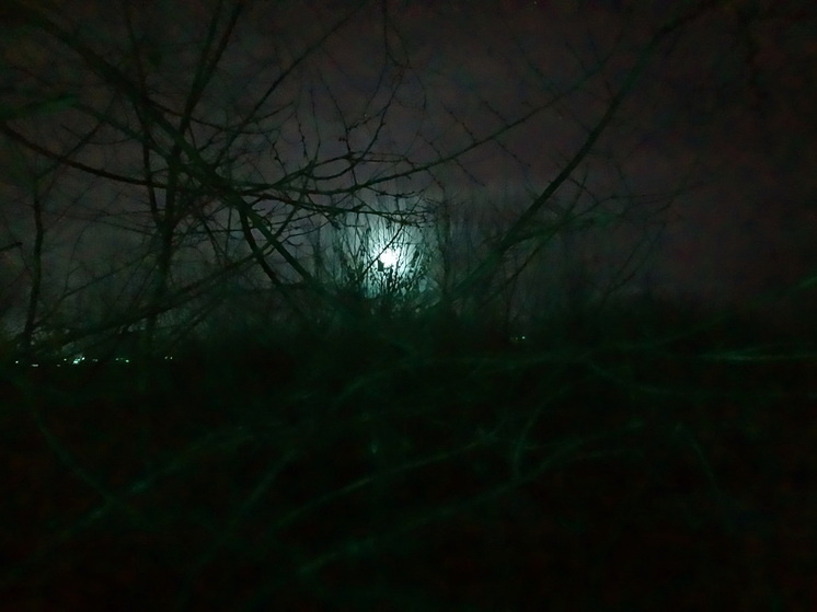     Фото: Сергей Климушев