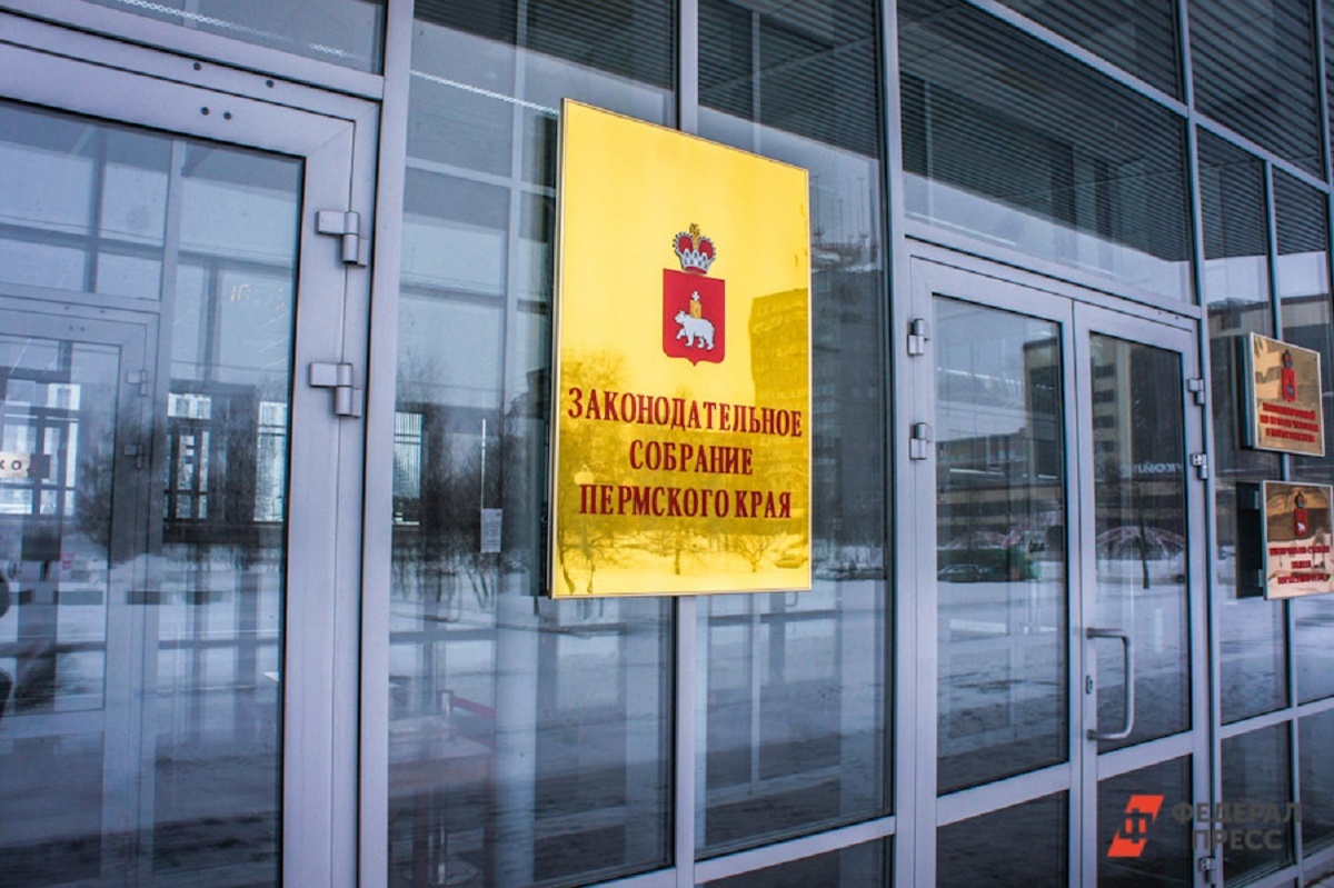 Елена Зырянова сохранит за собой депутатский мандат.  Фото: Дмитрий Барков