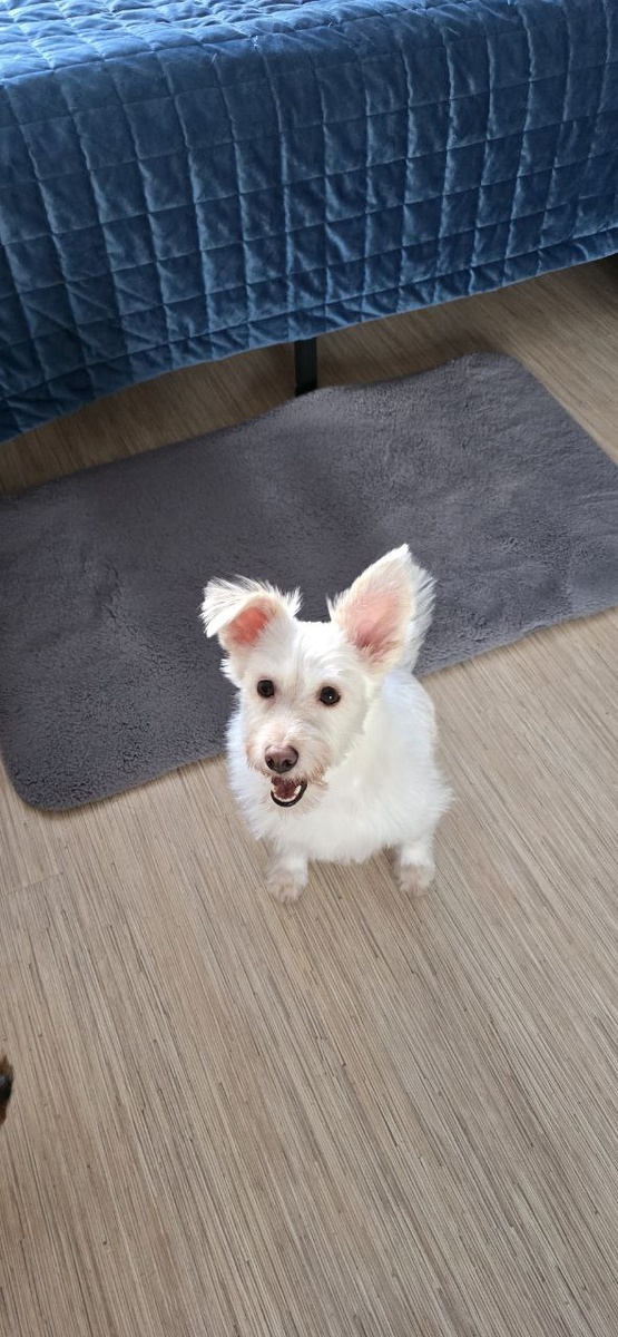 Дашка стала настоящей звездой в своей новой семье!