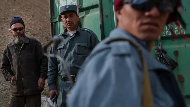 © Фото : Алексей Николаев