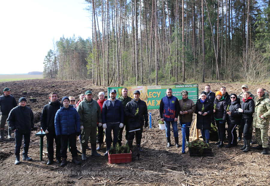     Сделали краше Копыльщину нашу!