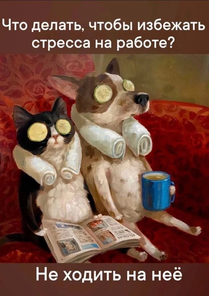 Источник фото Яндекс Картинки