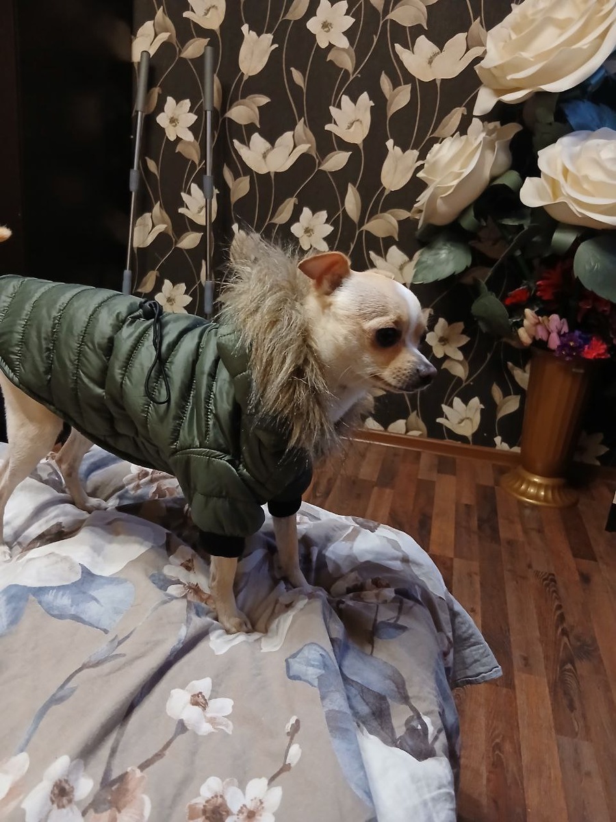 Личное фото автора канала