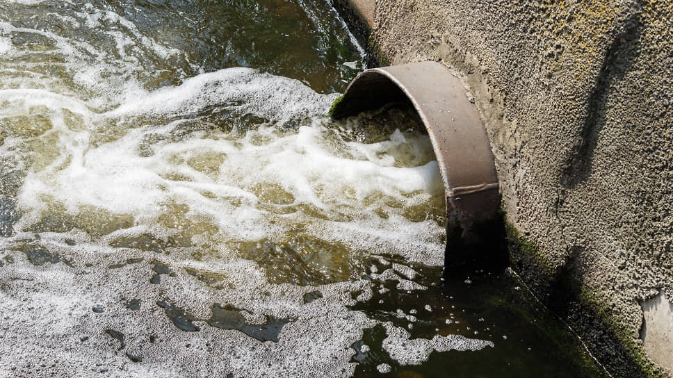 Фото: Олег Харсеев / Коммерсантъ