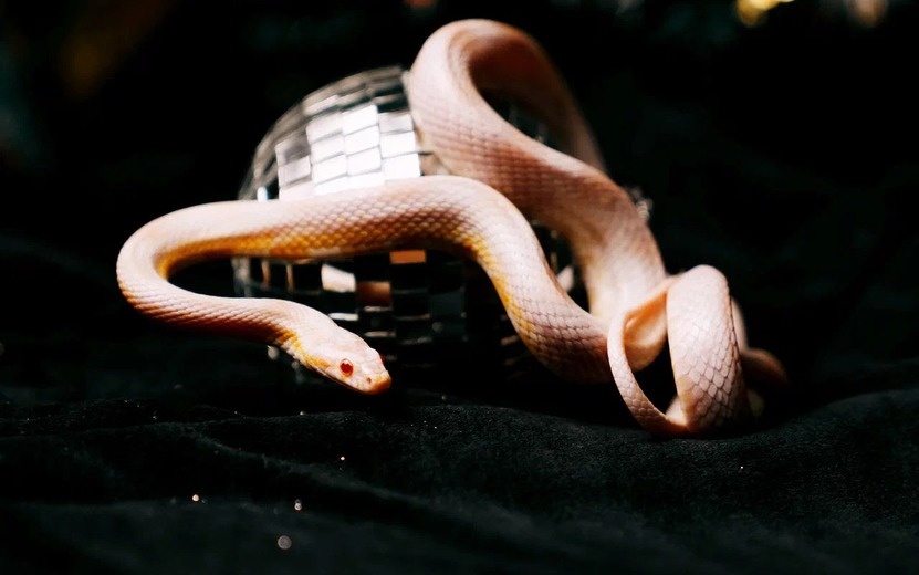    Внутренняя сила против хаоса: кто по гороскопу 18 апреля обретет дар прозрения?