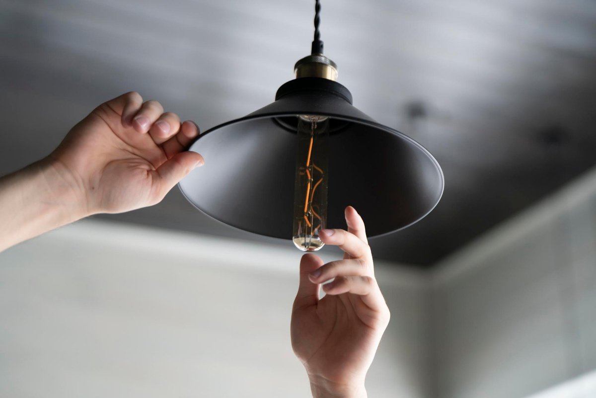 Фото: freepik.com  📷
