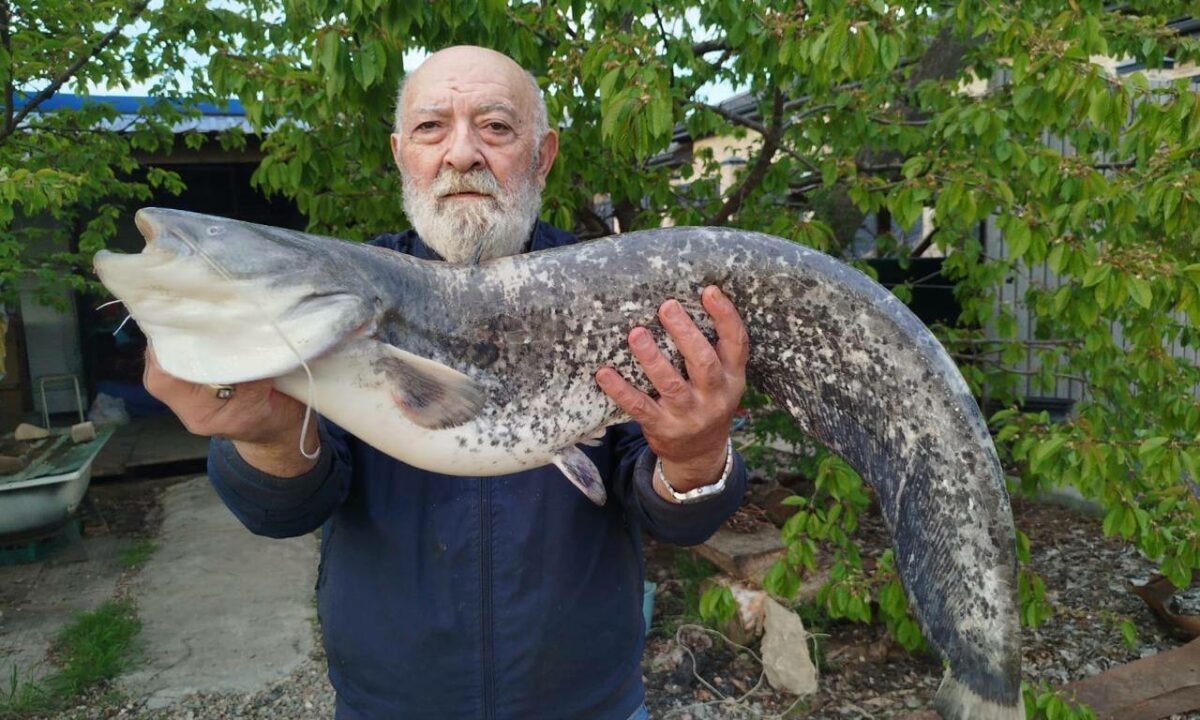    Фото t.me/msimonyan