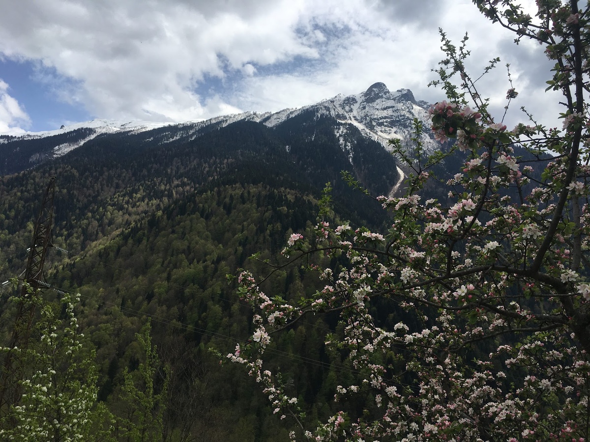 Весна в Сванети скоро начнется