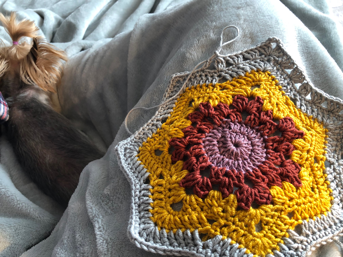 Нюся оценила план совместного вязания весь день