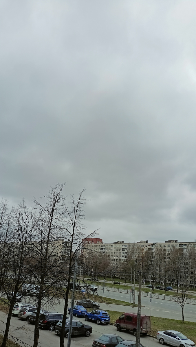 Фото автора. 11ч. СПб.