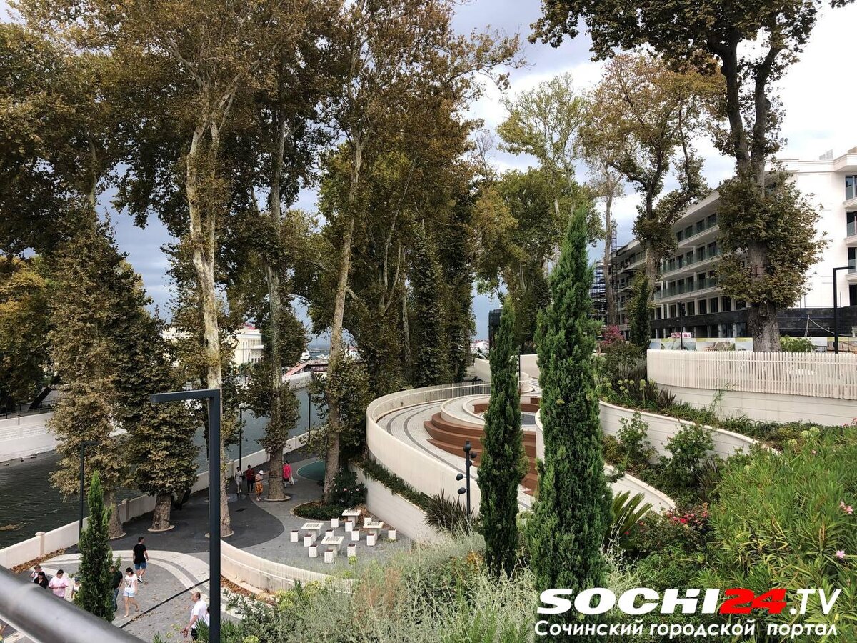 Фото: Сочи24 (Лидия Виленская)  📷
