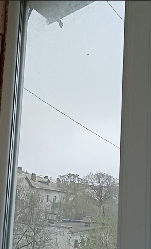 Хвост видите? Вот это и есть мечта котов :)