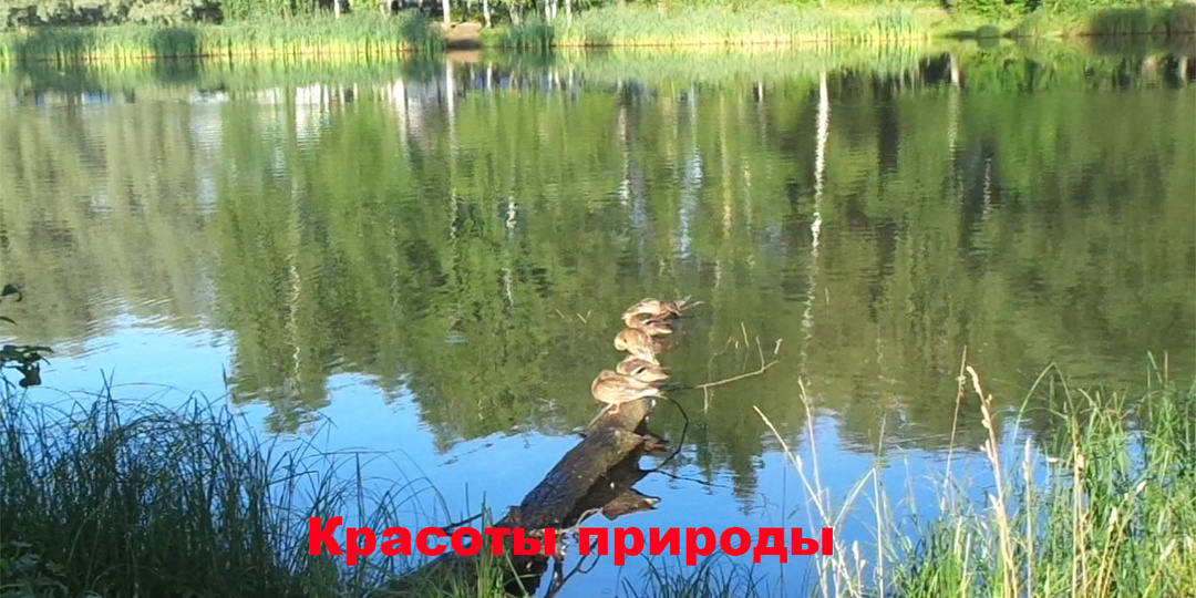 Красота природы