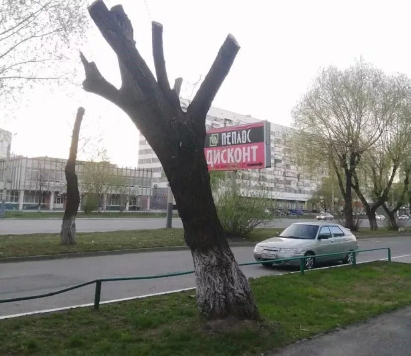 Фото: Народный фронт в Челябинской области