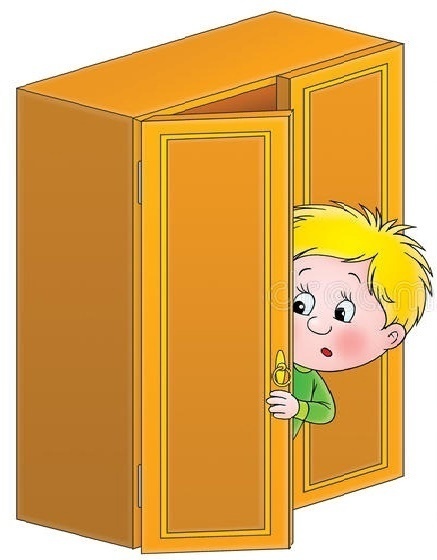 Картинка из интернета. Жизнь за шифоньером.