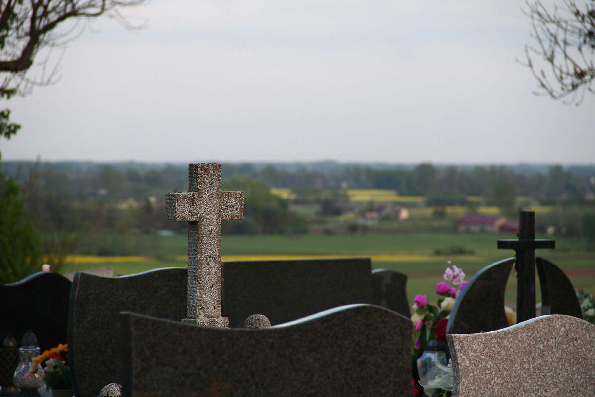 Фото взято из открытых источников