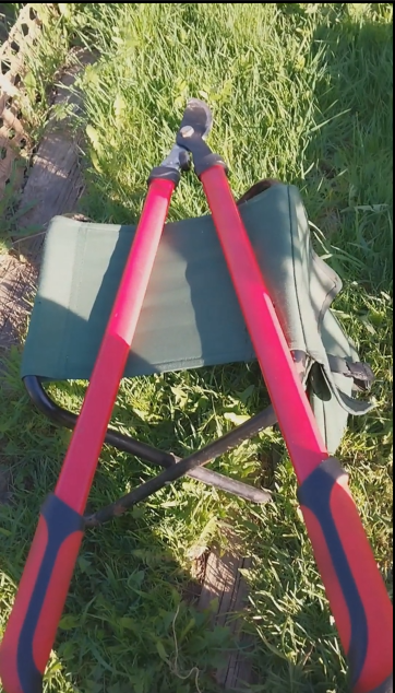 Мощный секатор, режет кусты, средние ветки деревьев 