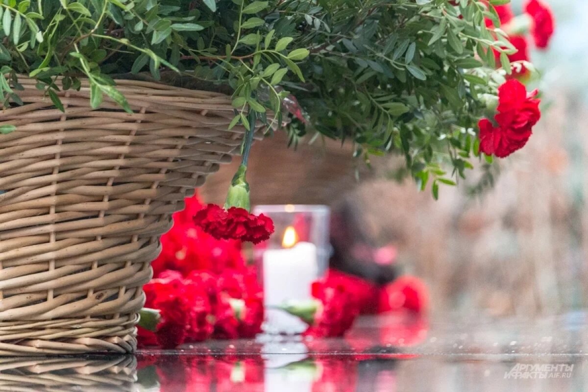    Стало известно о смерти зоотехника Тульского экзотариума Антона Балабаева