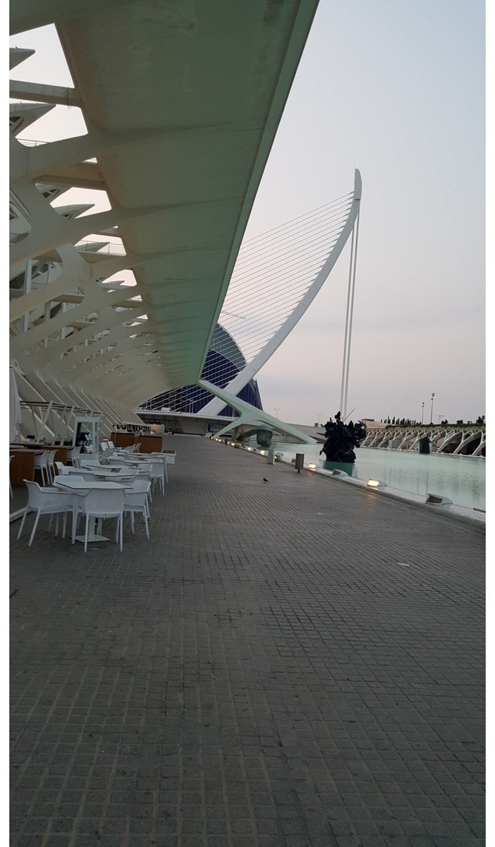 Фрагмент конструкции моста через Турию. Изящество, мощь и красота.