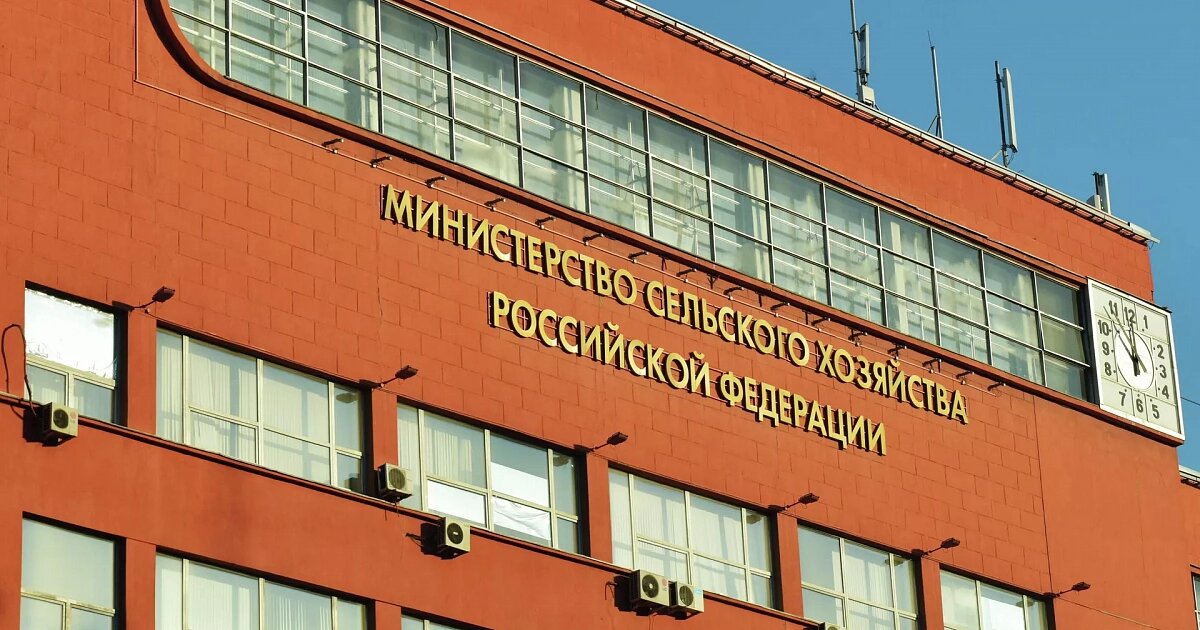 Фото: Наталья Селиверстова / РИА «Новости»