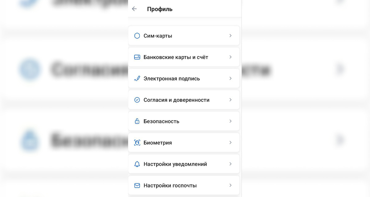    Скриншот из приложения Госуслуг
