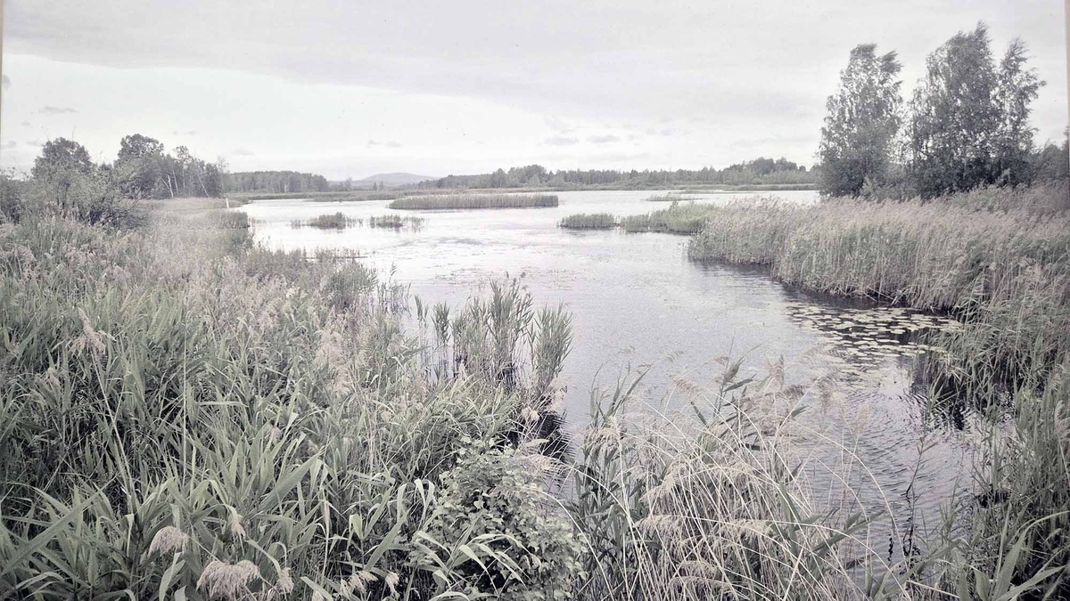 Сейчас на месте, где был обнаружен идол находится Шигирское озеро. В этом районе ученые нашли следы стоянки древних людей: места захоронения, предметы быта и культа