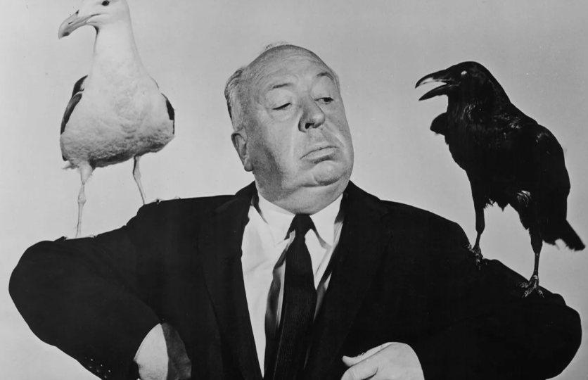 Фото Хочкока - для красоты)