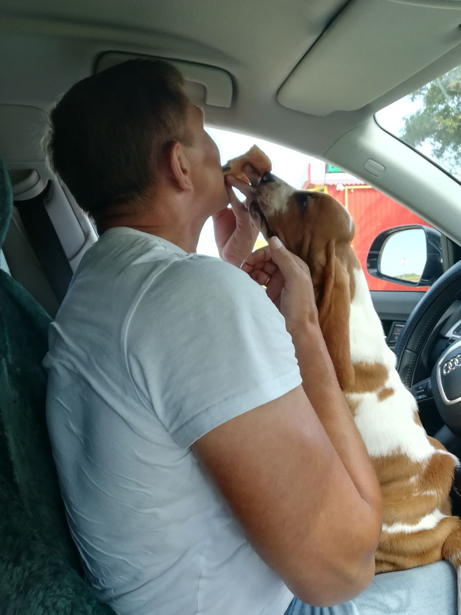 Муж у меня тоже ветврач по первому образованию. 