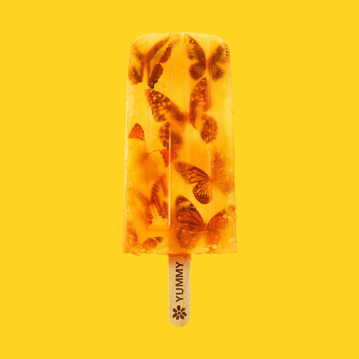 James «Yummy» (p) 2024