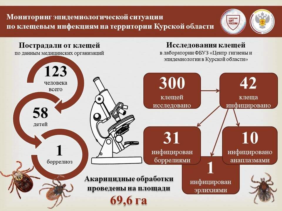    Фото управления Роспотребнадзора по Курской области