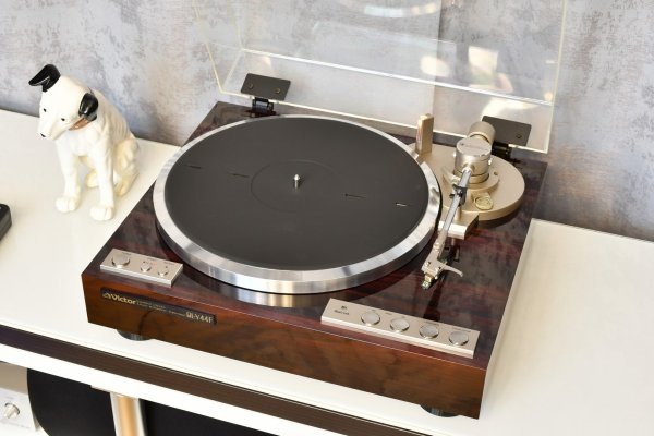 Красавчик, но нужно учитывать его возраст (фотография из сервиса "Яндекс картинки"). 