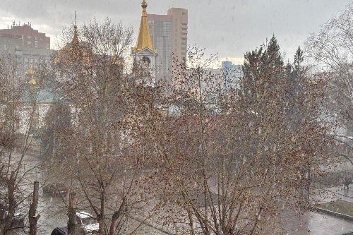    Фото: Прецедент