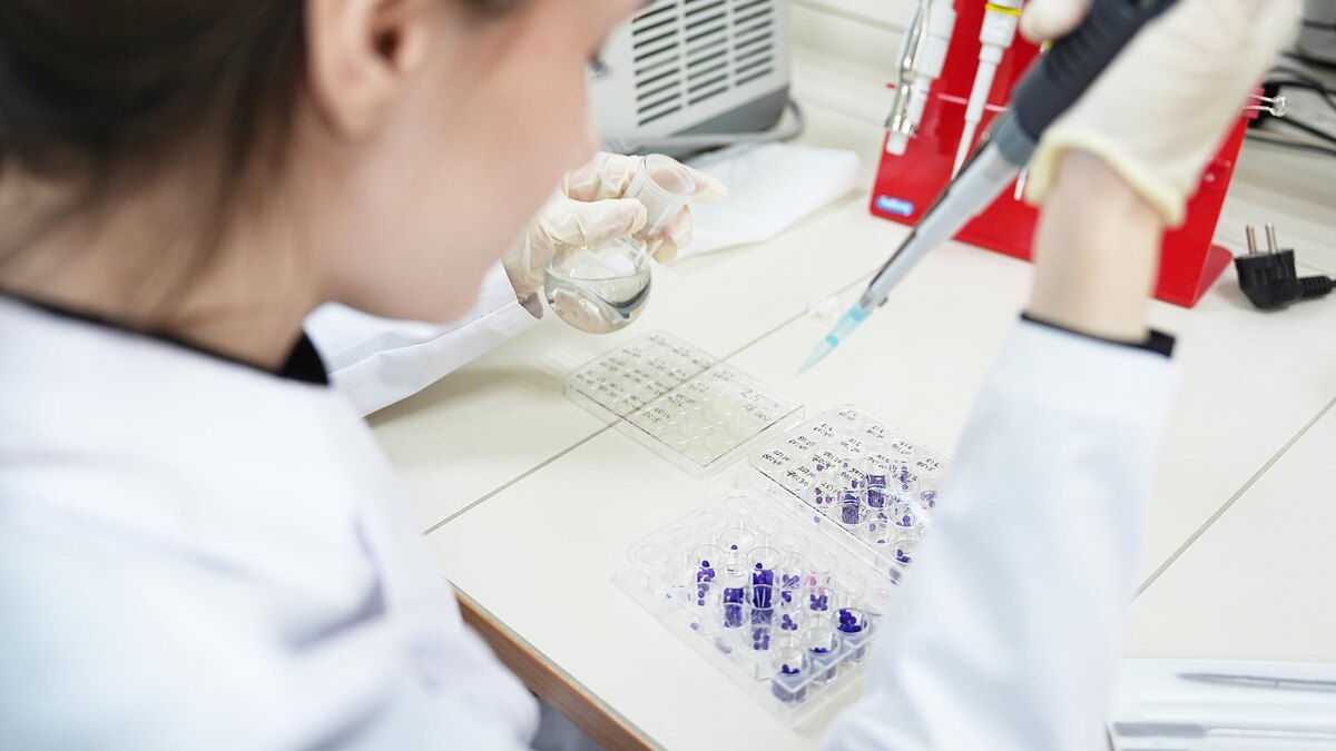 Фото: ИЗВЕСТИЯ/Павел Волков