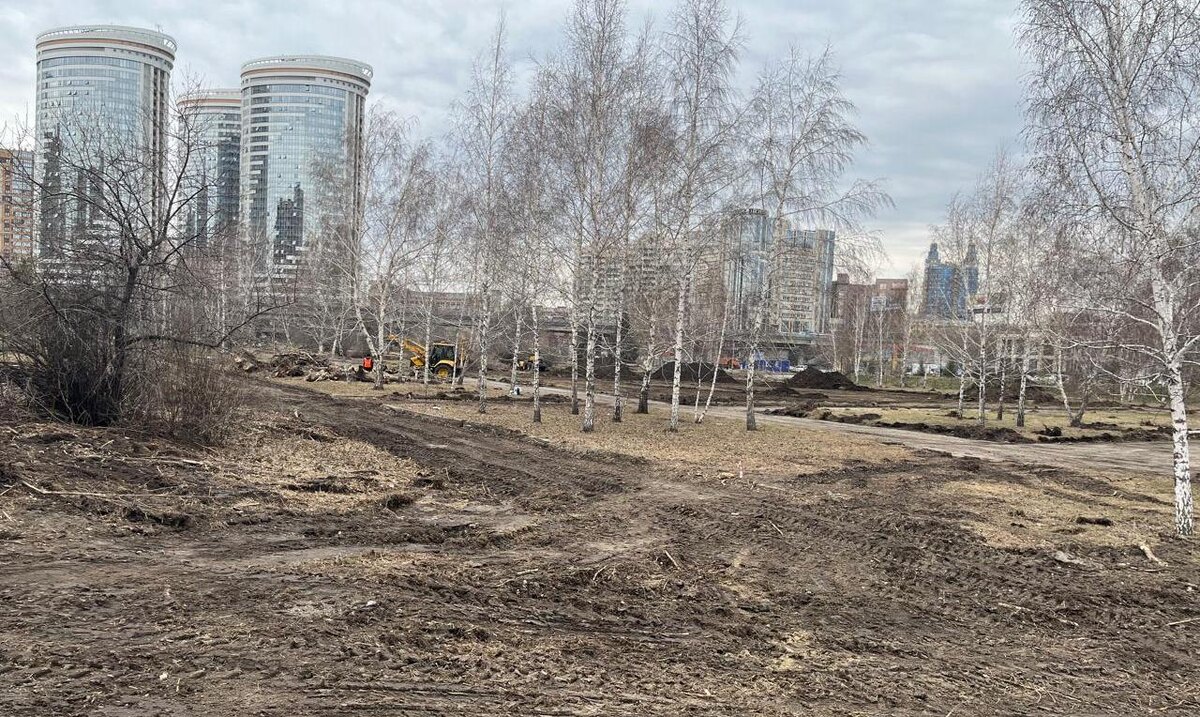 Фото: управление по благоустройству общественных пространств мэрии Новосибирска