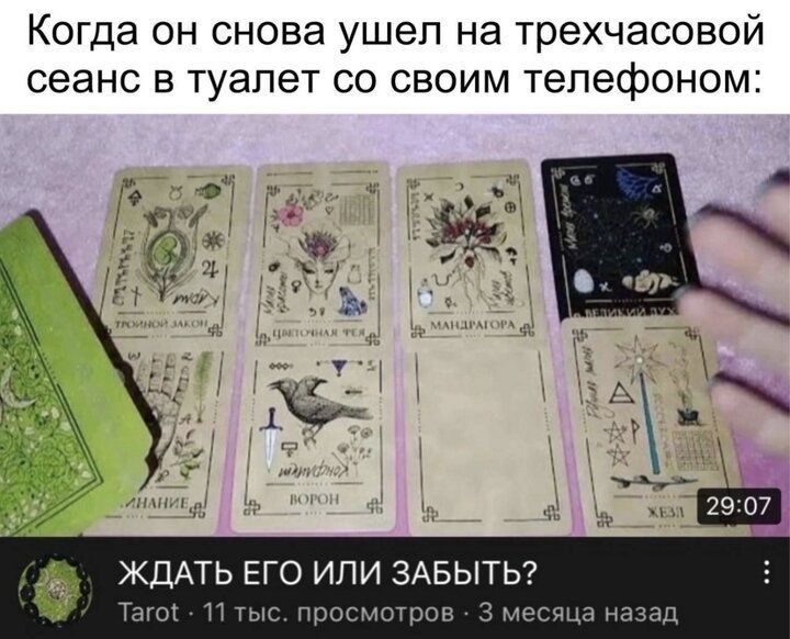 Фото из просторов интернета 