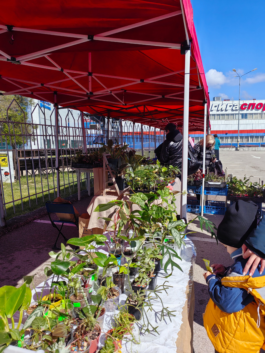 Фото автора.