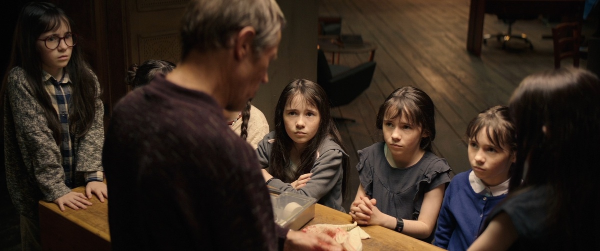 Дед ещё жив... Семеро близняшек...